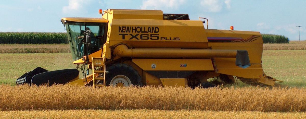 Russia-Ucraina: accordo sul grano in cambio di ammoniaca