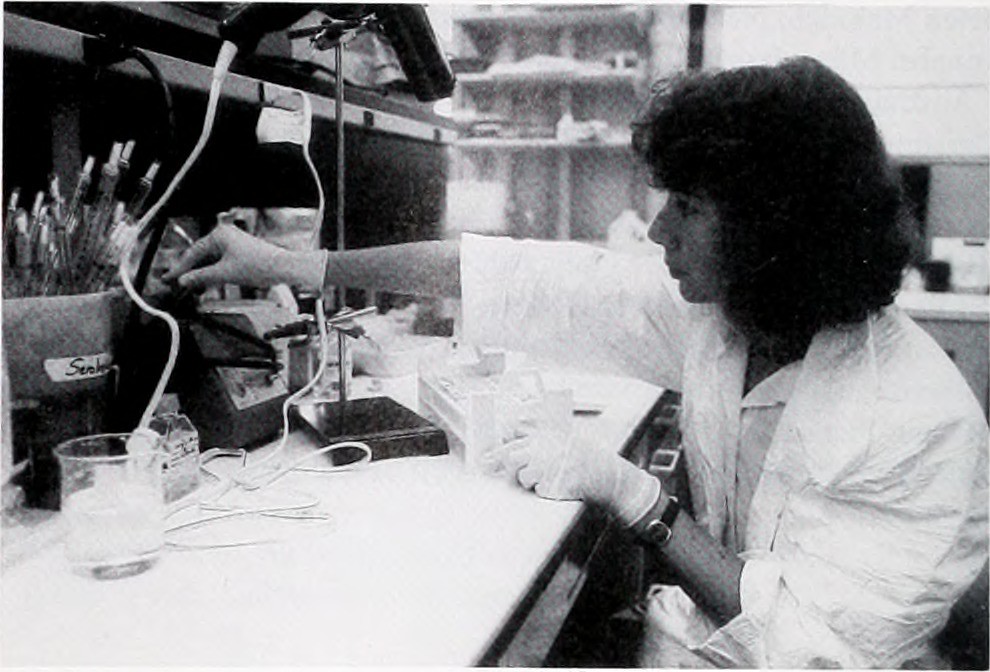 New York: facoltà di medicina gratis grazie ad una donazione&nbsp;record