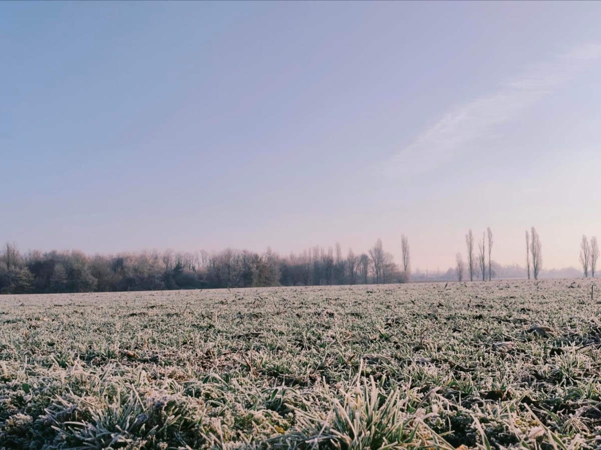 Il Mondo di Ketty – Colpo di coda del&nbsp;2025