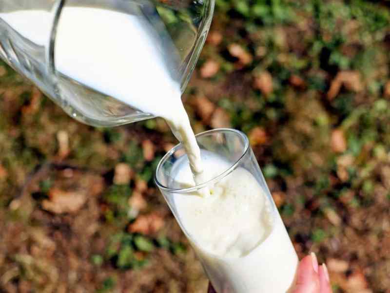 Polonia: il ”latte” è solo animale. Stretta sulle bevande&nbsp;vegetali