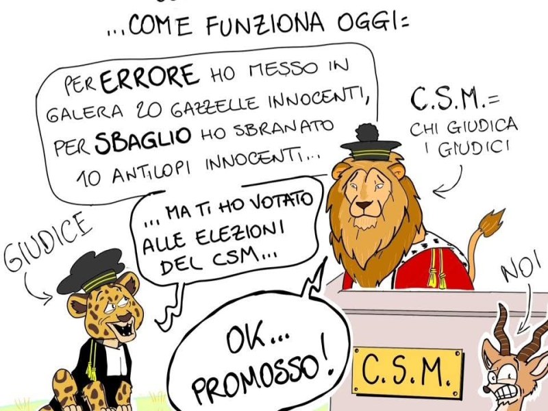 Il fumetto di&nbsp;Fedozzo