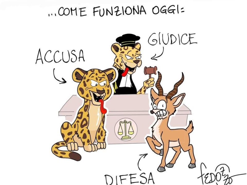 Il fumetto di&nbsp;Fedozzo