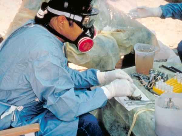 Hantavirus: 3 morti su nave da crociera. E’ il nuovo&nbsp;Covid?