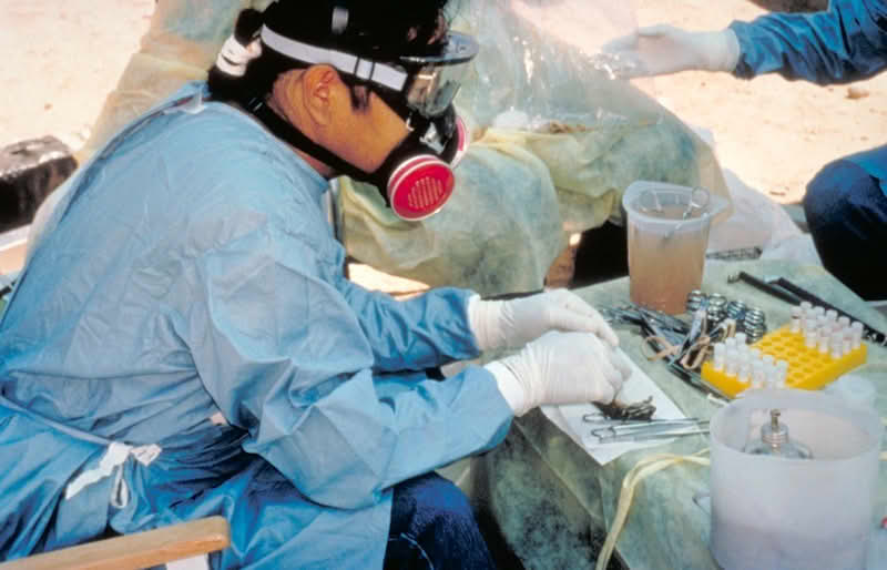 Hantavirus: 3 morti su nave da crociera. E’ il nuovo&nbsp;Covid?
